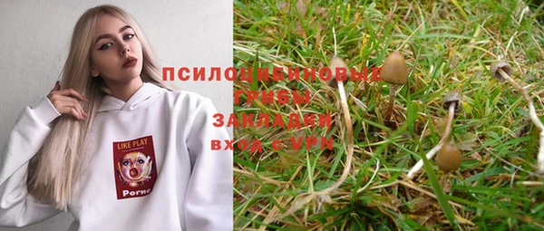 трава Осинники
