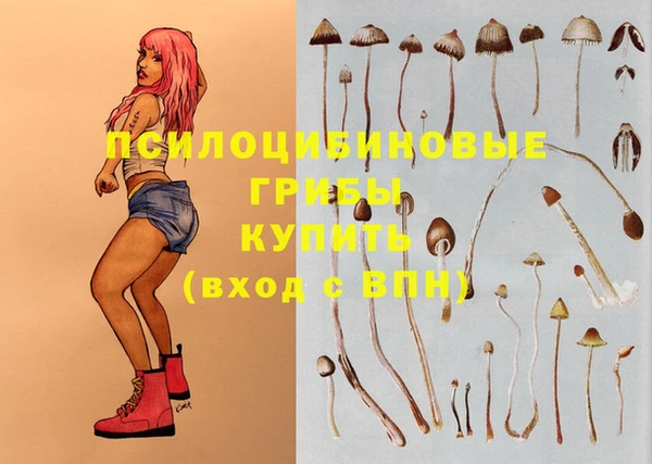 дживик Осташков