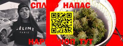 твердый Гатчина