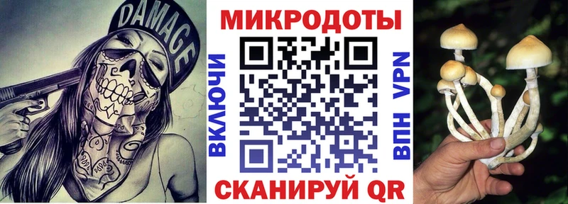 Галлюциногенные грибы MAGIC MUSHROOMS  как найти закладки  Бугуруслан 